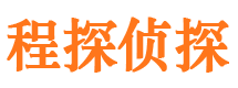 乐至市调查公司